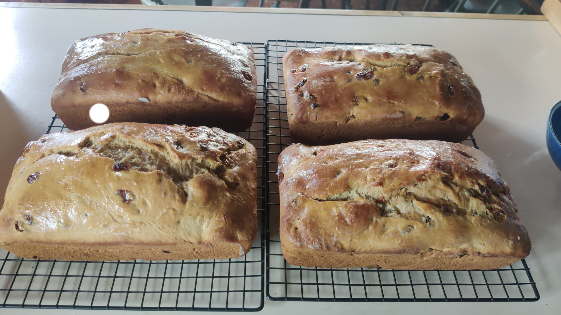 Grammy Z’s Babka