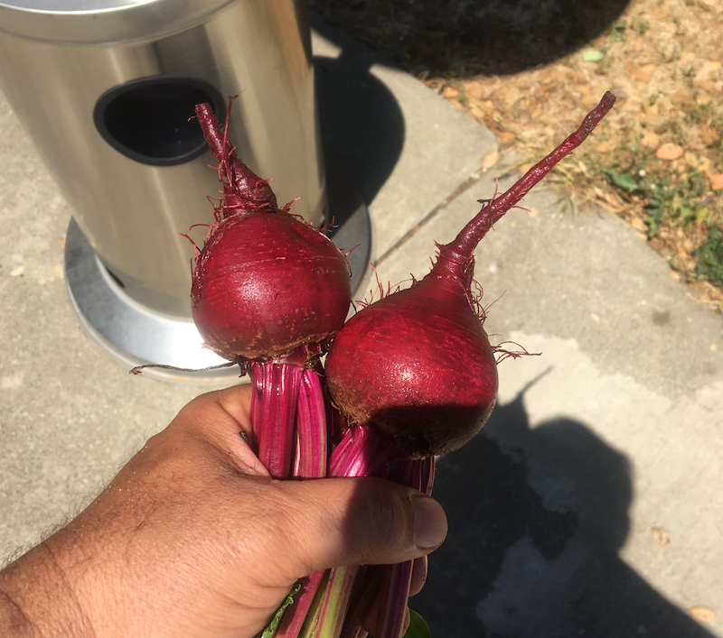Eudokia’s Borscht Recipe